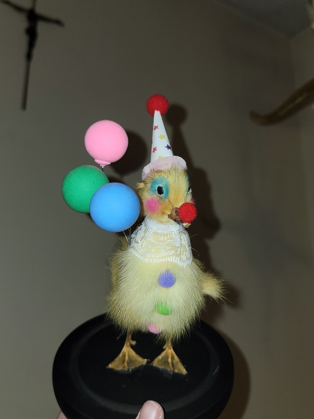 Taxidermy Clown Duckling